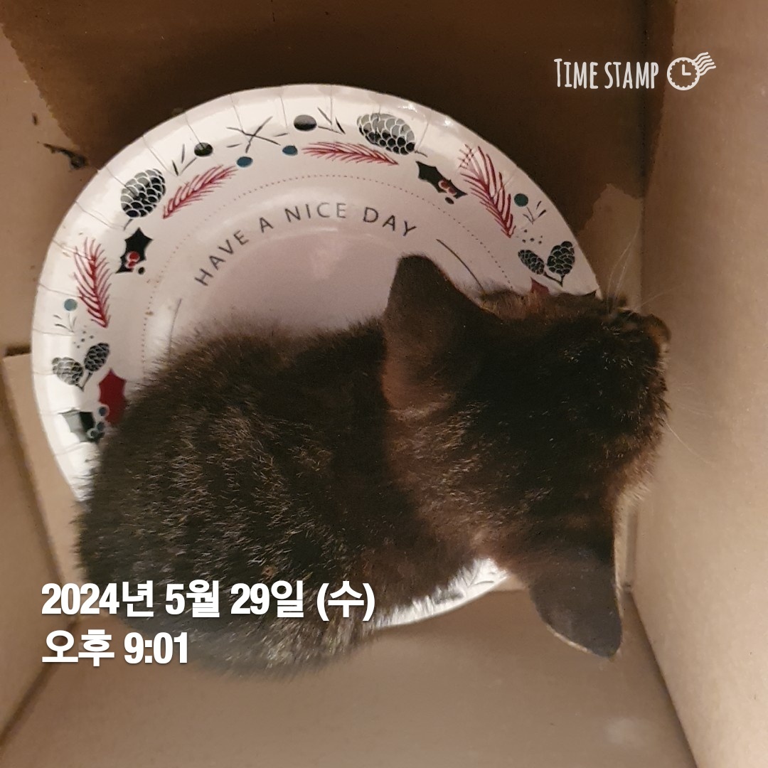종료(자연사) 한국…