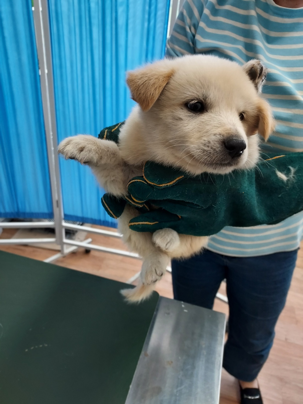 인월동물병원_445470202400713