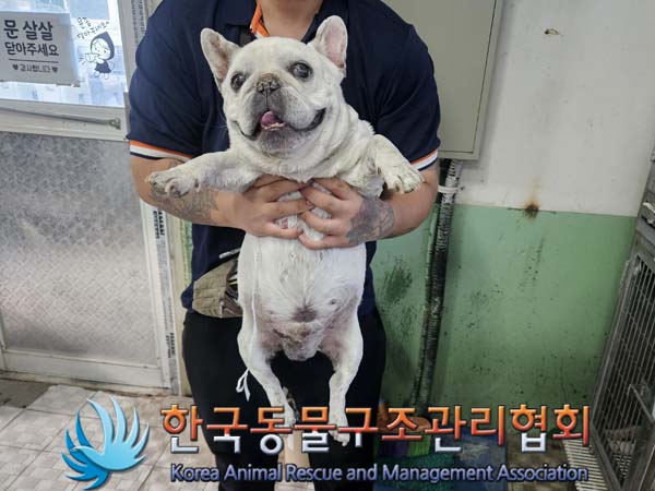 종료(반환) 프렌치…