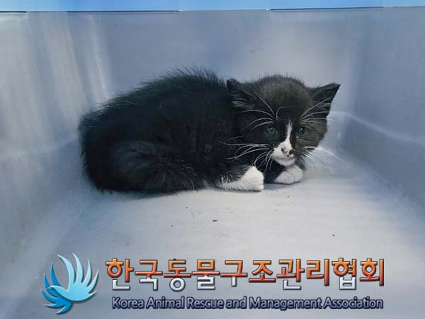 종료(자연사) 한국…