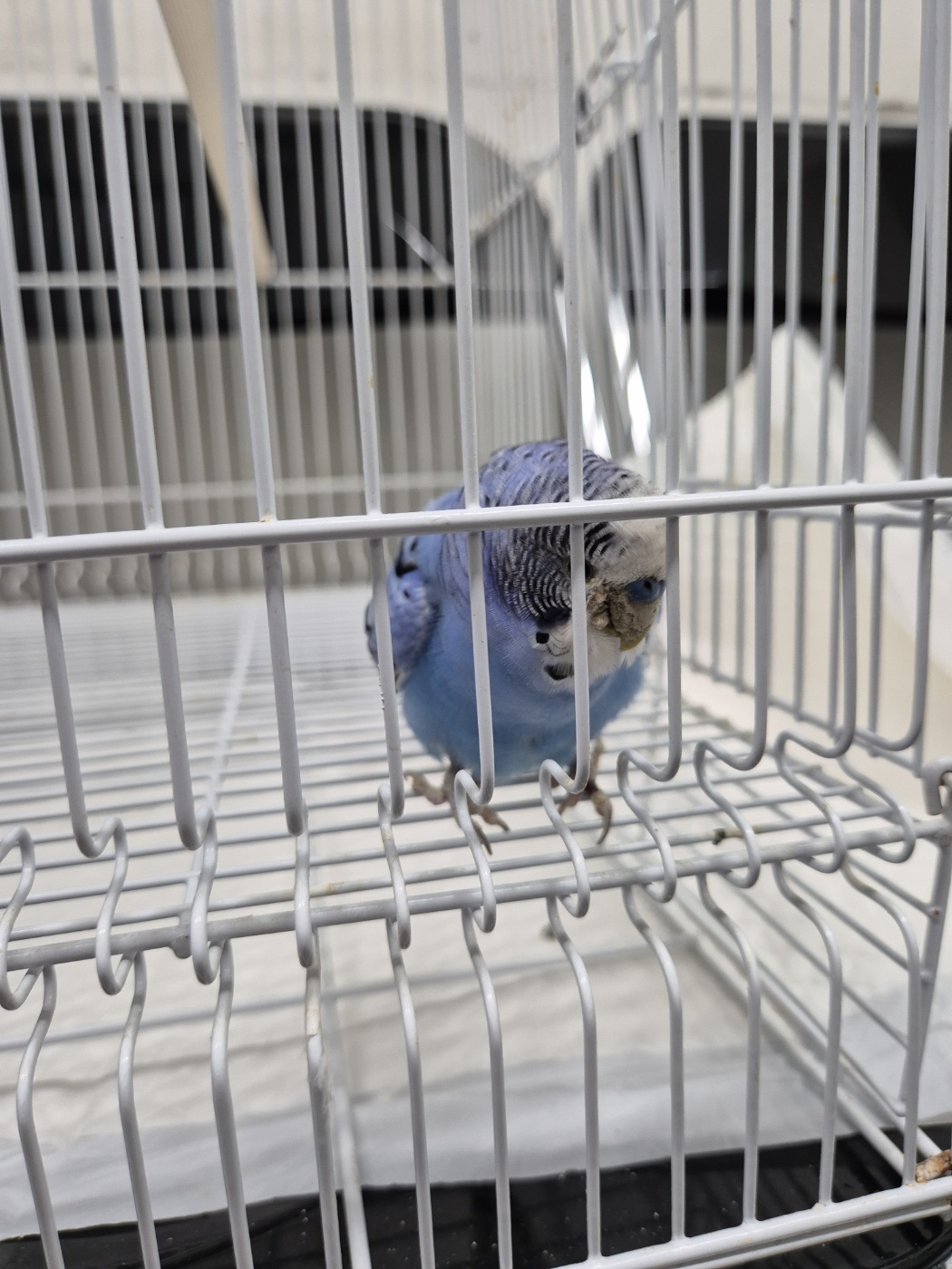종료(자연사) 사랑…