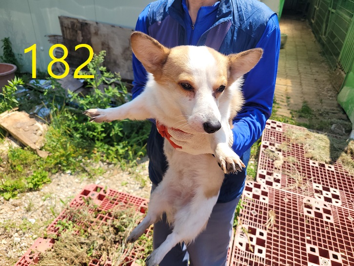 신영재동물병원_428355202400341