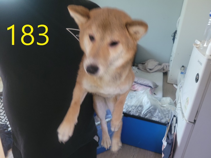 신영재동물병원_428355202400342