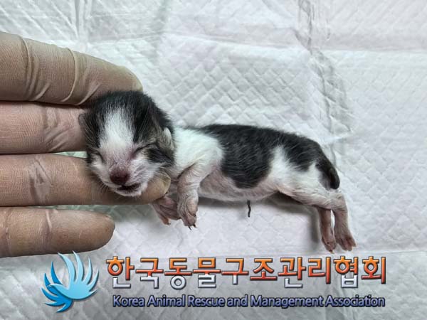 종료(자연사) 한국…