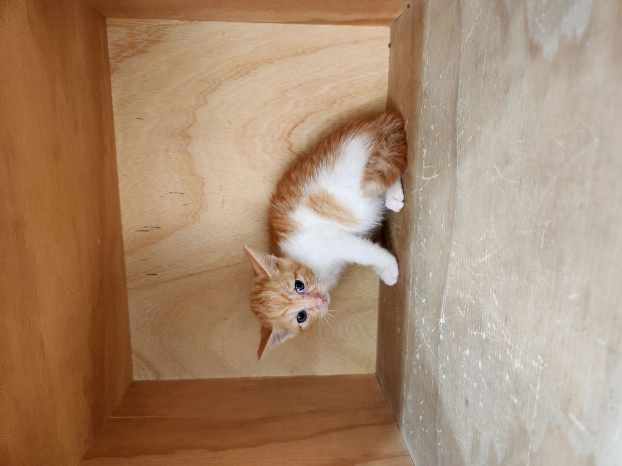 대구시수의사회(동산)_427341202400244