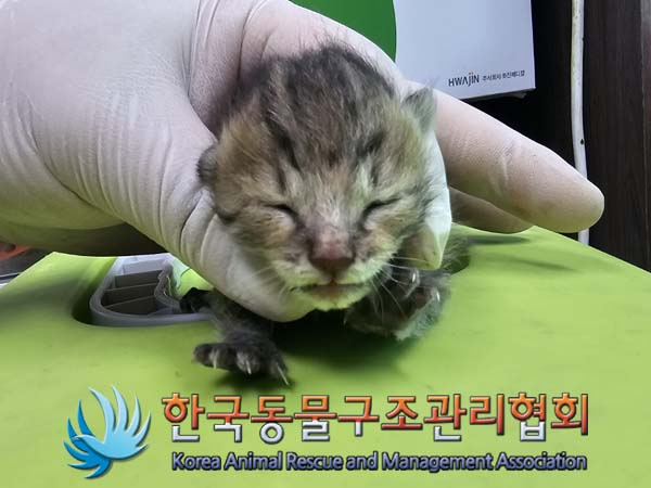 종료(자연사) 한국…