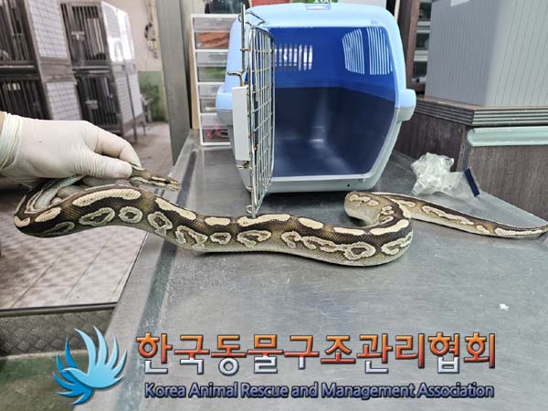 보호중 뱀의 가족 …