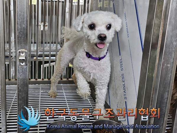 한국동물구조관리협회_411311202400457