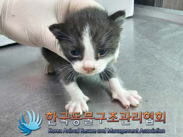 종료(자연사) 한국…