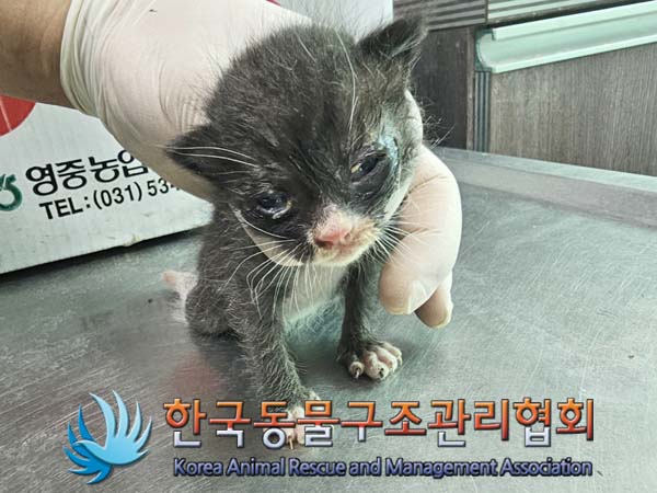 종료(자연사) 한국…