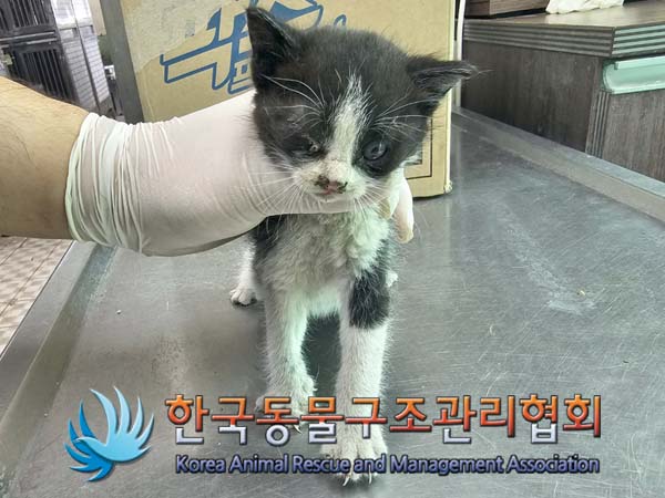 종료(자연사) 한국…