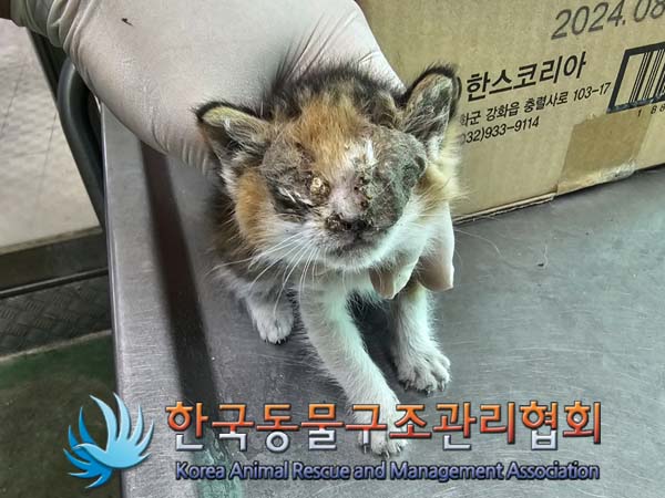 종료(자연사) 한국…