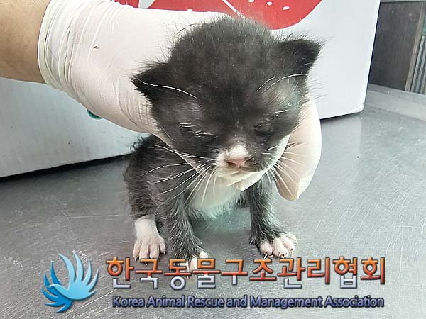 종료(자연사) 한국…