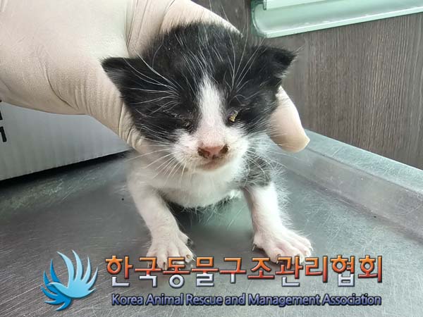 종료(자연사) 한국…