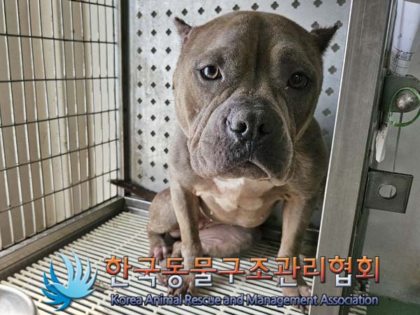 한국동물구조관리협회_411306202400480