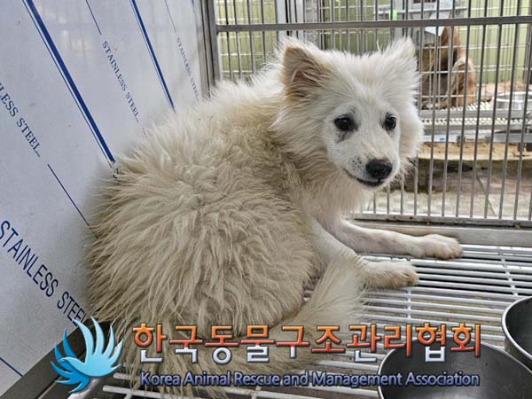 종료(안락사) 믹스…