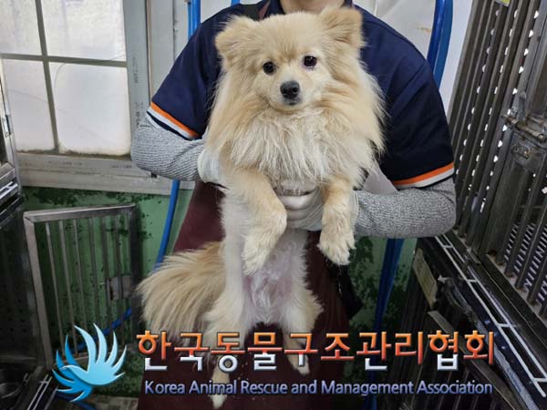 한국동물구조관리협회_411307202400303