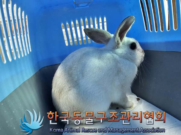 한국동물구조관리협회_411316202400304
