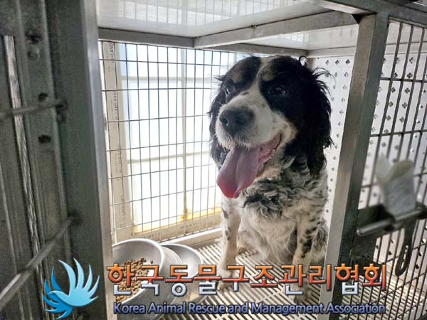 종료(반환) 잉글리…