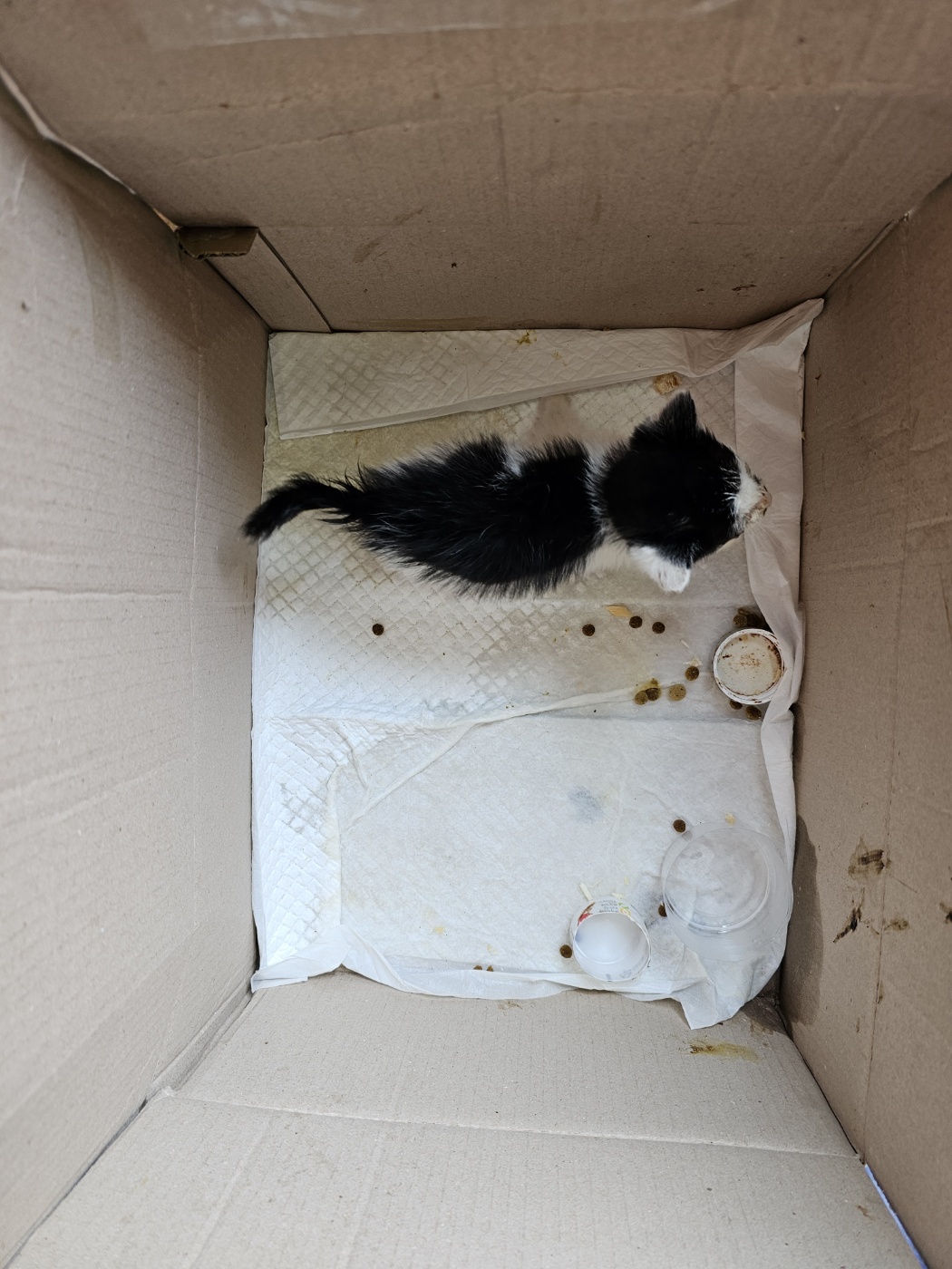 종료(자연사) 한국…