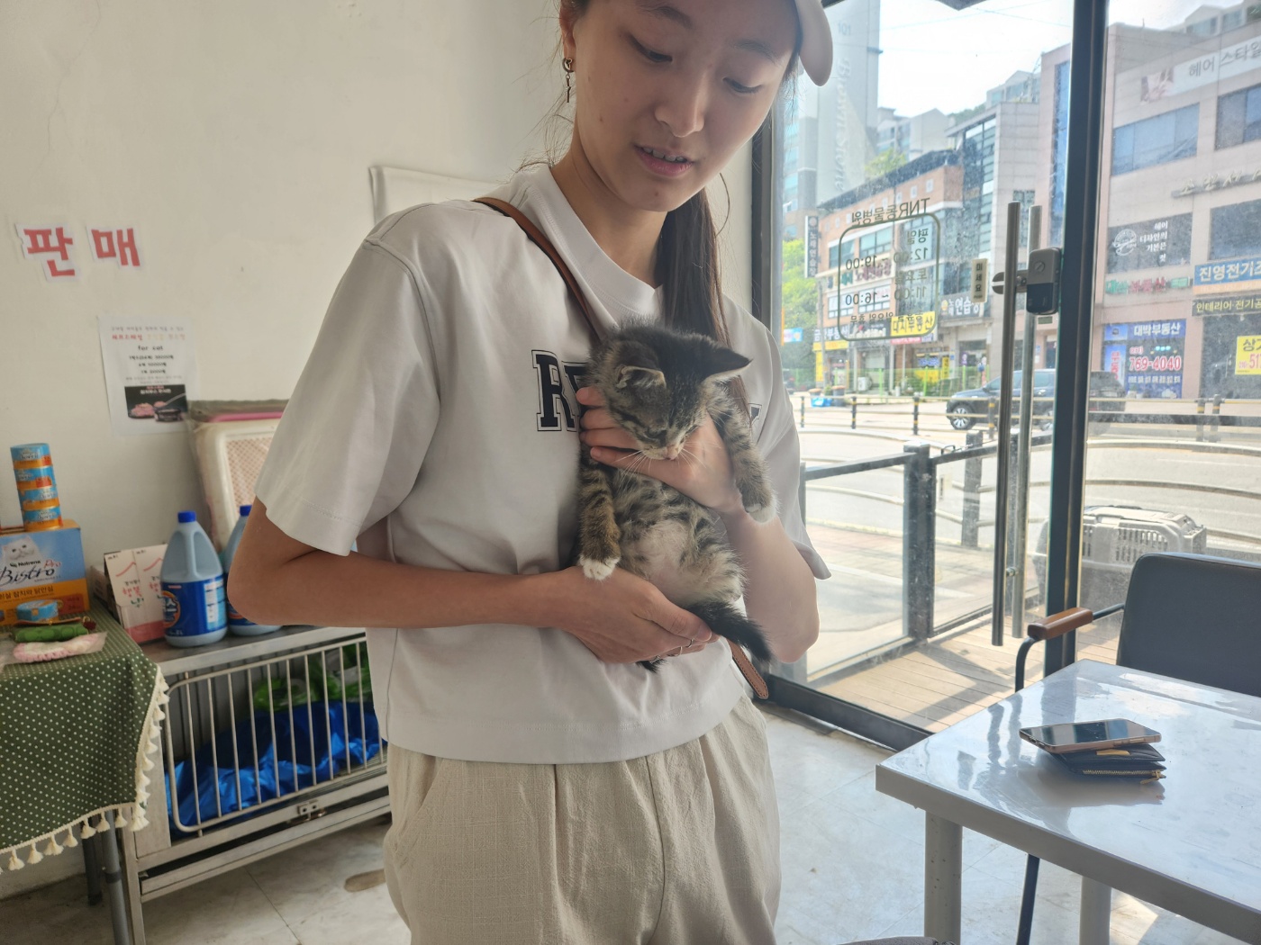 광주TNR동물병원송정_441554202400966