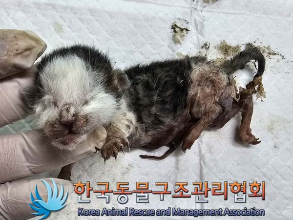 종료(자연사) 한국…