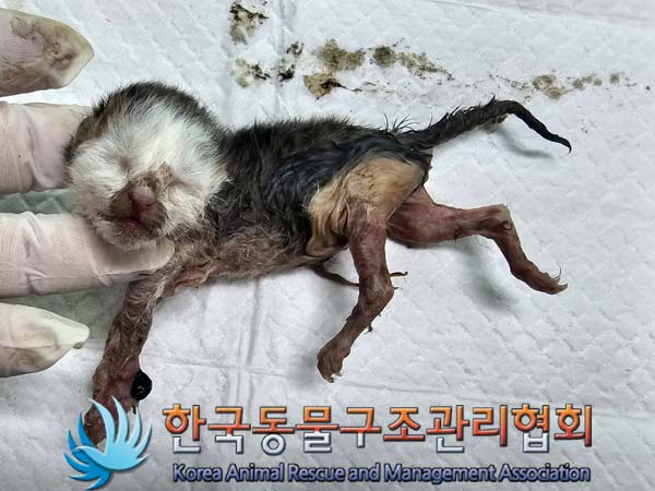 종료(자연사) 한국…
