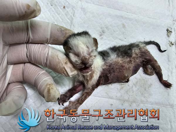 종료(자연사) 한국…