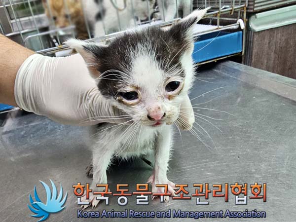 종료(자연사) 한국…
