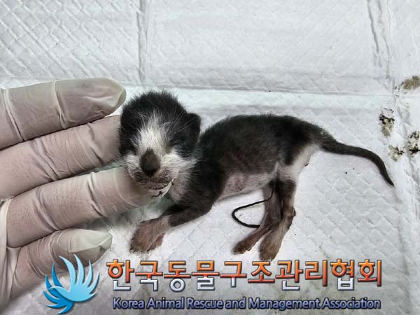 종료(자연사) 한국…