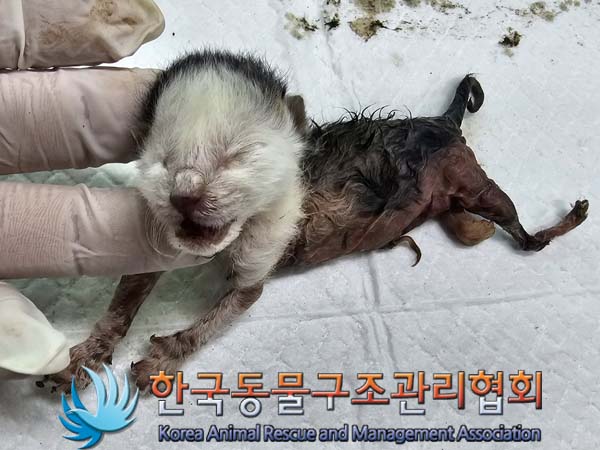종료(자연사) 한국…