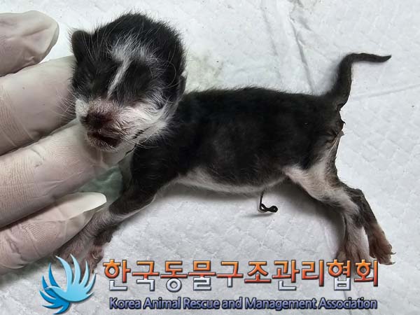 종료(자연사) 한국…