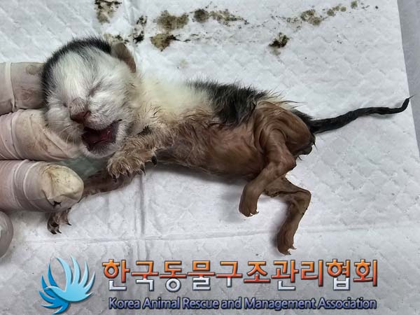 종료(자연사) 한국…