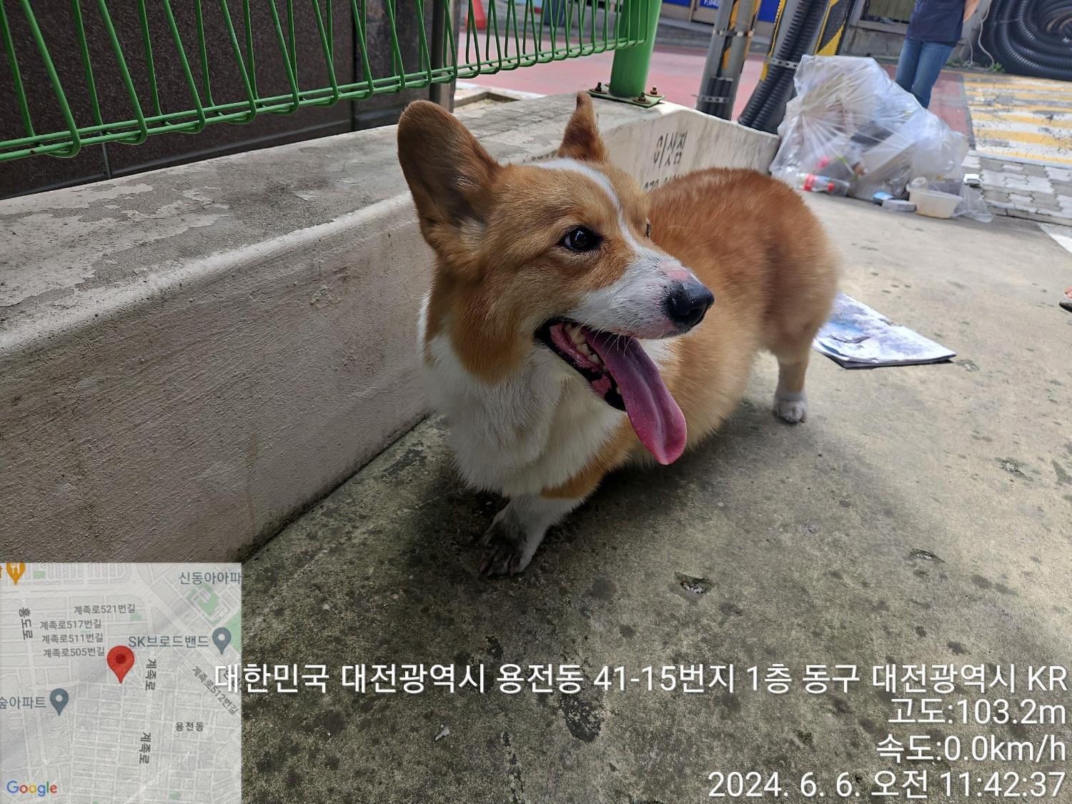 종료(반환) 웰시 …