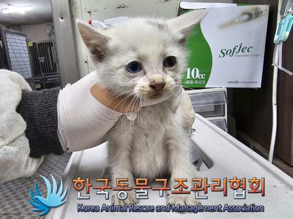 종료(자연사) 한국…