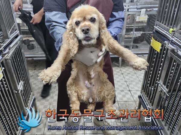종료(반환) 코카 …
