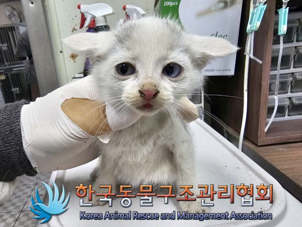 종료(자연사) 한국…