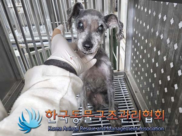 종료(자연사) 믹스…