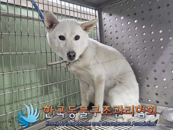 한국동물구조관리협회_441392202400169