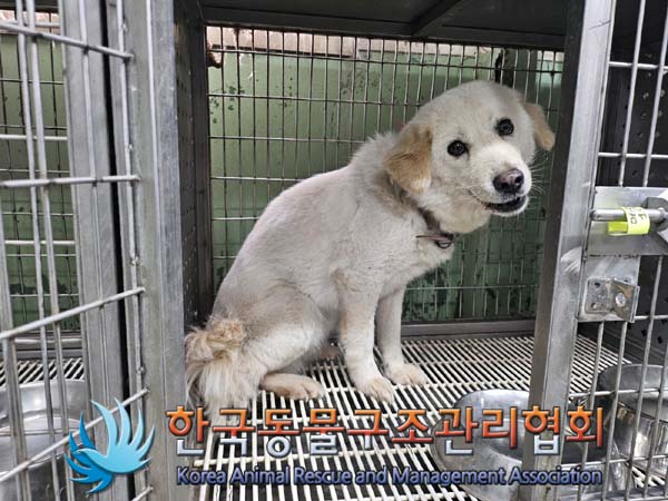 한국동물구조관리협회_441392202400168