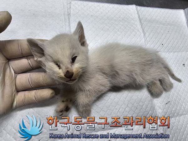 종료(자연사) 한국…