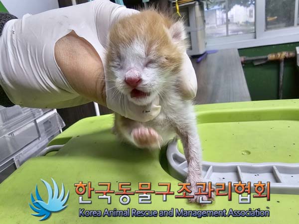종료(자연사) 한국…