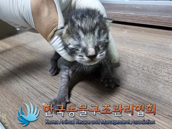 한국동물구조관리협회_411309202400184