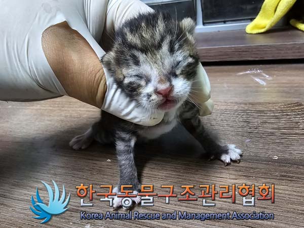 종료(자연사) 한국…