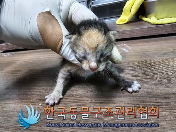 종료(자연사) 한국…