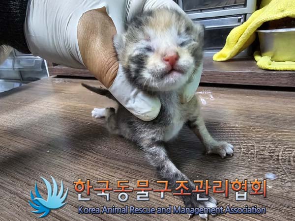 종료(자연사) 한국…