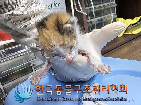 종료(자연사) 한국…