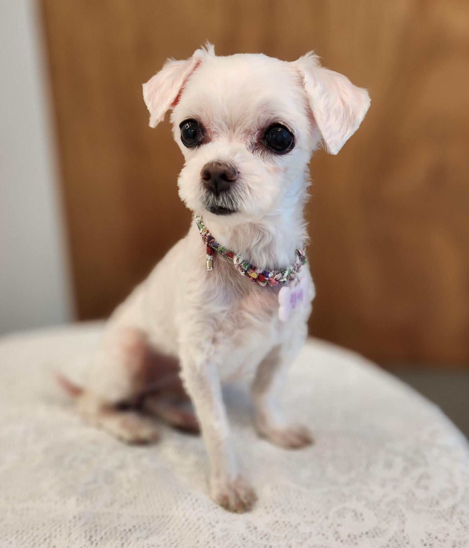 광명반함센터_441390202400388