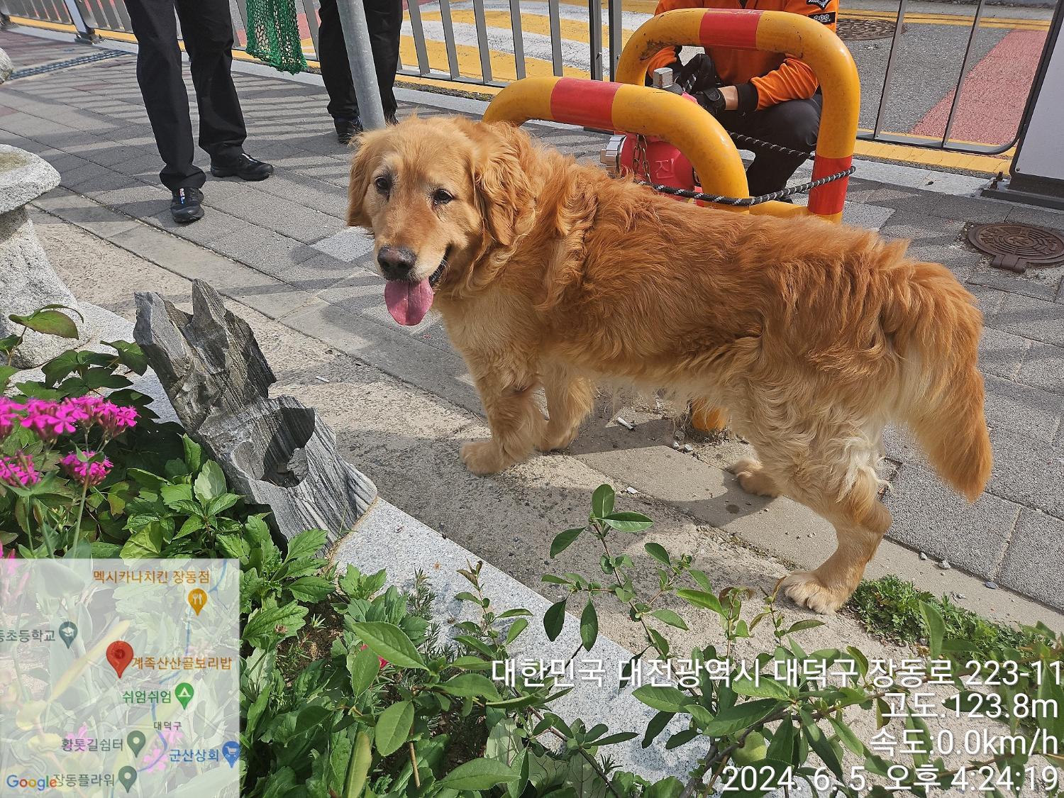 종료(반환) 골든 …
