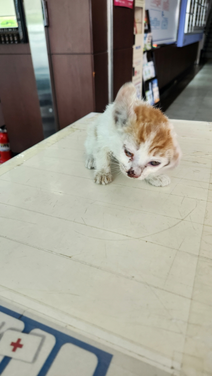 익산유기동물보호소_445468202401645